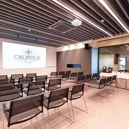 Hotel Calipolis 4*